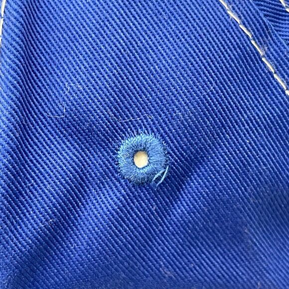 1998 Looney Tunes Tweety Bird Hat Cap Embroidered Blue Strapback Vintage - Picture 8 of 13